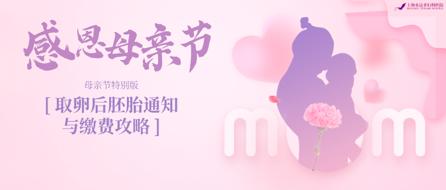 母亲节特别版：取卵后胚胎通知与缴费攻略